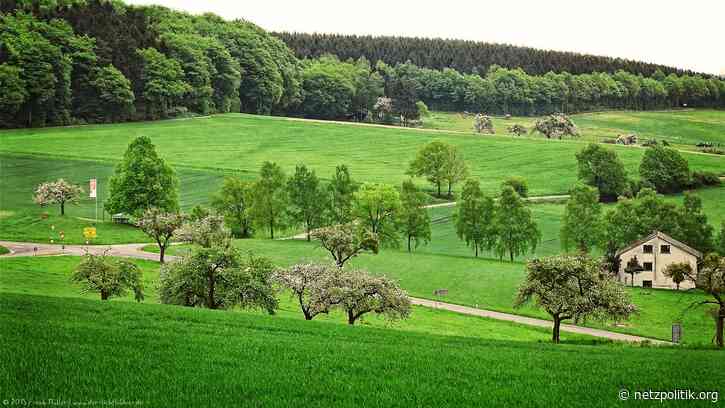 Funklöcher: Eine Milliarde Zuschuss für boomende Mobilfunkbranche