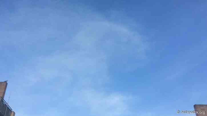 Was vom Tage übrig blieb: Schweinemasken, Speicherungen und Schluderei