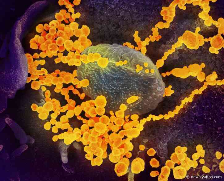 Factbox: Can frozen or chilled food spread coronavirus?