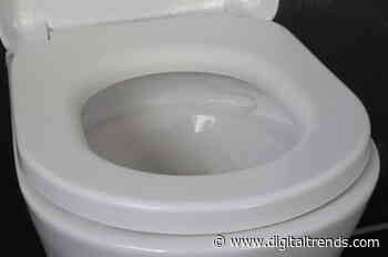 Flushing the toilet may spread coronavirus germs, study finds