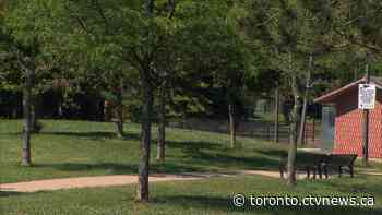 'It's just an awful sight': Dismembered dead cats found in park north of Toronto