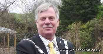 Former town mayor denies monkey post on social media was racist