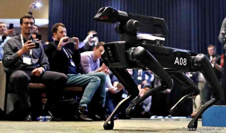 Dog-like robots now on sale for $75,000, with conditions (no kids, no harm)