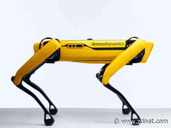 Terrifying robot dog now available for private use