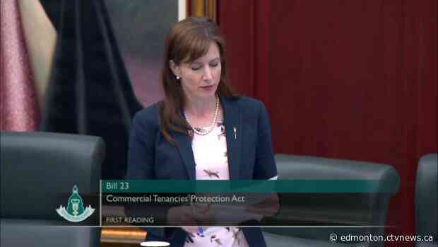 Commercial evictions ban proposed in new bill, landlords and renters to cooperate on repayment