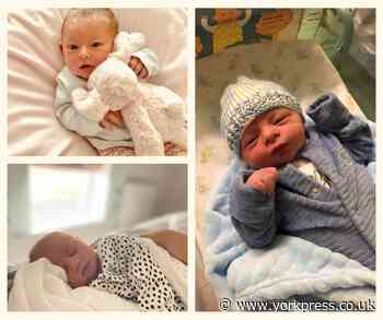 A BIG HELLO! Meet more of York's lockdown babies