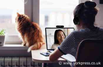 Business technology for the new normal