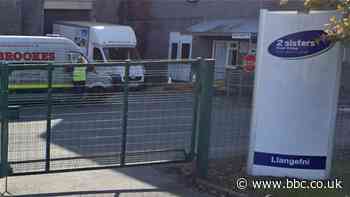 Achosion o coronafeirws mewn ffatri ieir