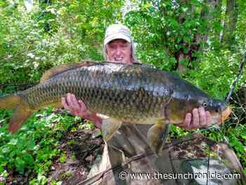MONTI: Carpe diem — Rhode Island man lands 40-pound carp - The Sun Chronicle