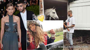 Zayn Malik buys farm next to Yolanda Hadid, where he & Gigi are isolating - Capital