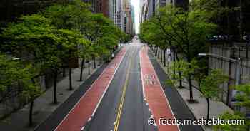 Emptier, safer roads? Data tells a different story.