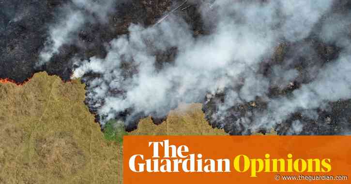 Coronavirus is a warning to us to mend our broken relationship with nature | Marco Lambertini, Elizabeth Maruma Mrema and Maria Neira