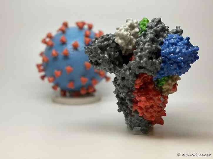 Elderly, sick, essential workers will get virus vaccine first: US