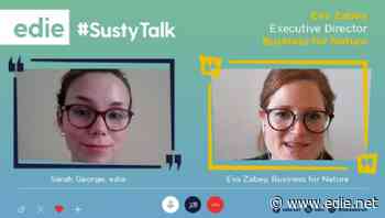 #SustyTalk: Business for Nature's Eva Zabey on maintaining momentum to tackle the nature crisis
