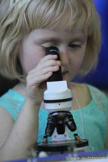 Science festival wins national honours