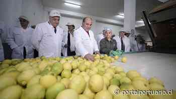 Puerto de Buenos Aires exportará primer contenedor de limones de Tucumán hacia China - PortalPortuario