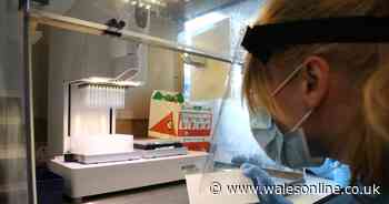 Ten more people die in Wales after testing positive for coronavirus