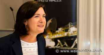 Minister advises kids to practice Welsh on Xbox while schools are shut