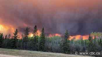 Slow start to Alberta wildfire season linked to weather and COVID-19 restrictions