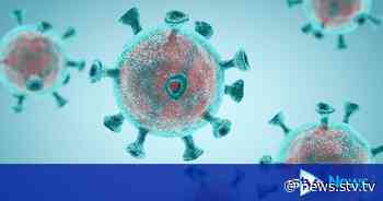 Scotland reports no new coronavirus deaths in last 24 hours - STV Edinburgh
