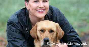 Help our Lockdown Dog Hero winner River get her paws on the national title