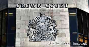 Well-known dairy farmer showed 'cavalier attitude' with guns