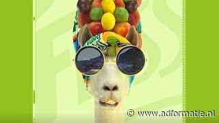 DubbelFrisss: 'Vergeet wat je weet over ice tea'