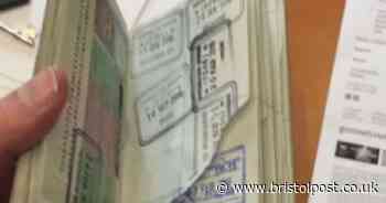 Businessman told judge 'dog ate my passport'