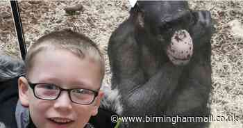 Tommy shows pedal power to help Twycross Zoo