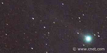 Comet Neowise is the latest to tease with the potential of a big show     - CNET