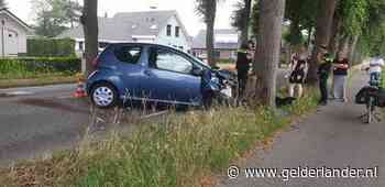 Automobiliste wijkt uit voor kat en knalt tegen boom in Groesbeek