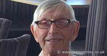 'Loving and selfless' great-grandfather died after being hit by a van