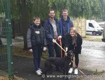 Meet the first dogs adopted from Cheshire Dogs' Home since before lockdown