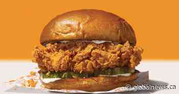 Popeyes launching popular chicken sandwich in Alberta after province’s COVID-19 success
