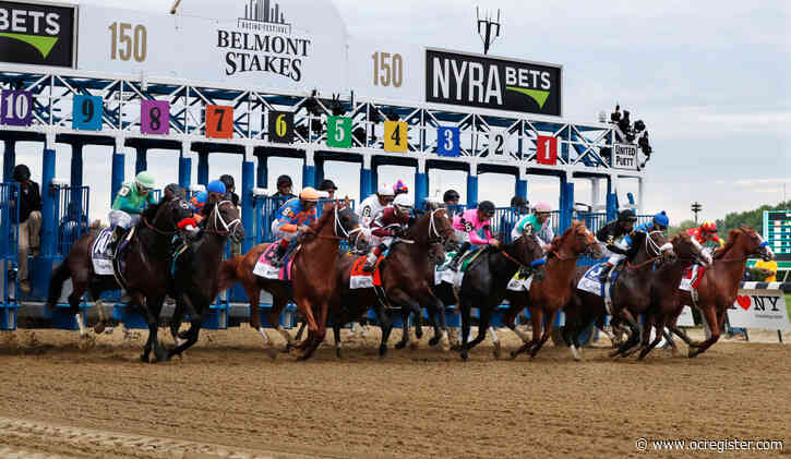 Tiz the Law draws No. 8 post as early 6-5 Belmont favorite