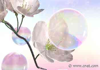 Scientists find way to pollinate plants with soap bubbles as bees decline     - CNET