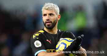 How to turn the Sky Sports crowd noise on and off for Premier League matches