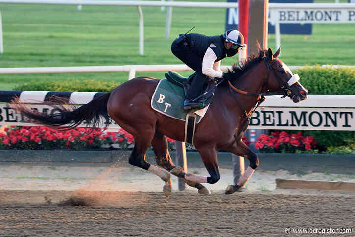 Whicker: Tiz the Law could be the people’s Triple Crown choice