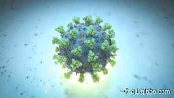 Coronavírus: Sarzedo, na Grande BH, confirma primeira morte - G1
