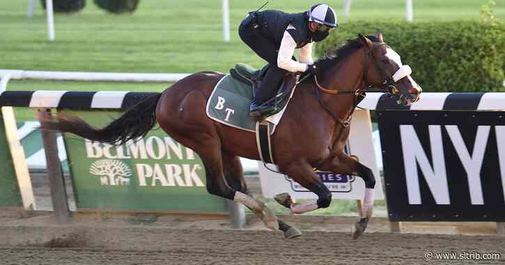 Tiz the Law draws No. 8 post as early 6-5 Belmont favorite