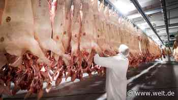 Das Sub-Sub-Sub-Problem der deutschen Fleischkonzerne