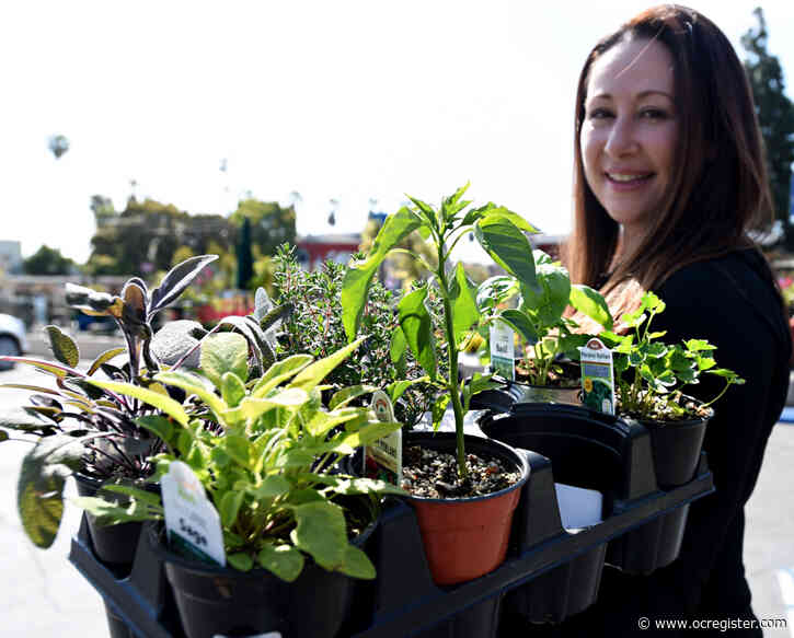 Here are 6 ways gardening can benefit your mental and physical health