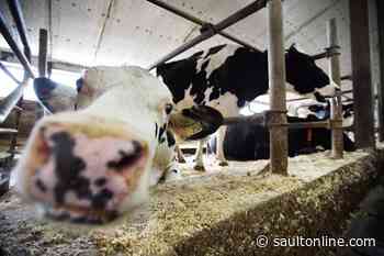 Ontario passes bill to protect farmers from animal rights activists