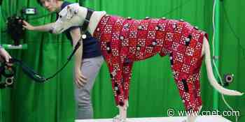 Your dog could be a video game character one day     - CNET