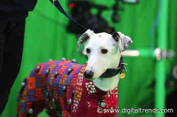 This new motion capture suit for dogs is ready to beam your mutt into the Matrix