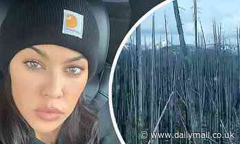 Kourtney Kardashian puts pucker on display in selfie as she continues to document family road trip