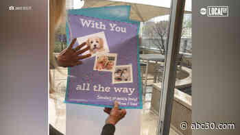 Sisters-in-law donate giant greeting cards to Chicago-area hospitals