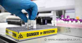 Labour calls for weekly Covid-19 tests for all health and care workers