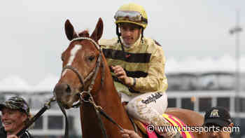 2020 Belmont Stakes predictions: Expert picks for win, place, show, trifecta, superfecta