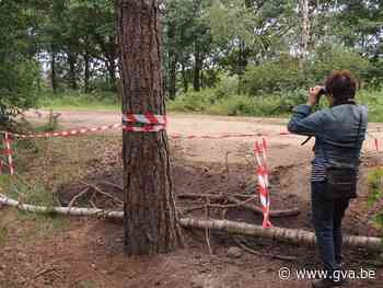 Defensie sluit deel wandelpaden in Uilenbos af met prikkeldraad - Gazet van Antwerpen